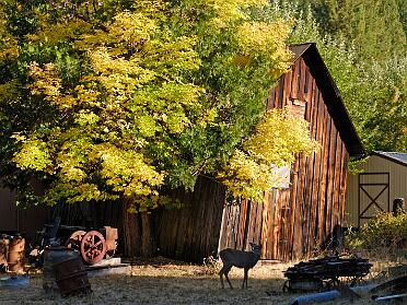Plumas County